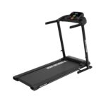 Bodytone DT12+